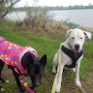 Meet your Posher, Madeline